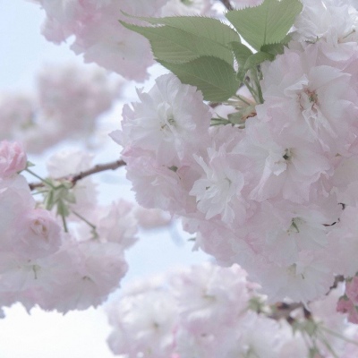 晋城FurryQQ群介绍